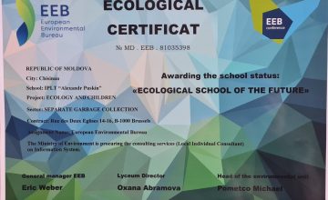 IP LT ”Alexandr Pușkin” — Ecological school of the future