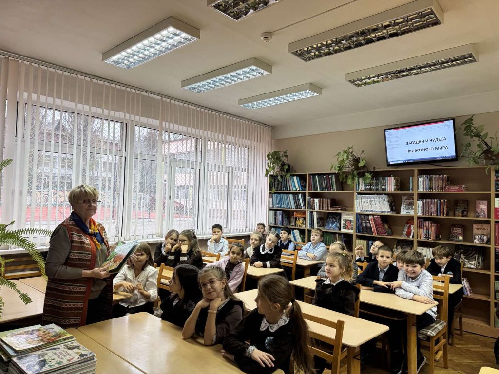 изображение viber 2025 12 01 12 14 43 426