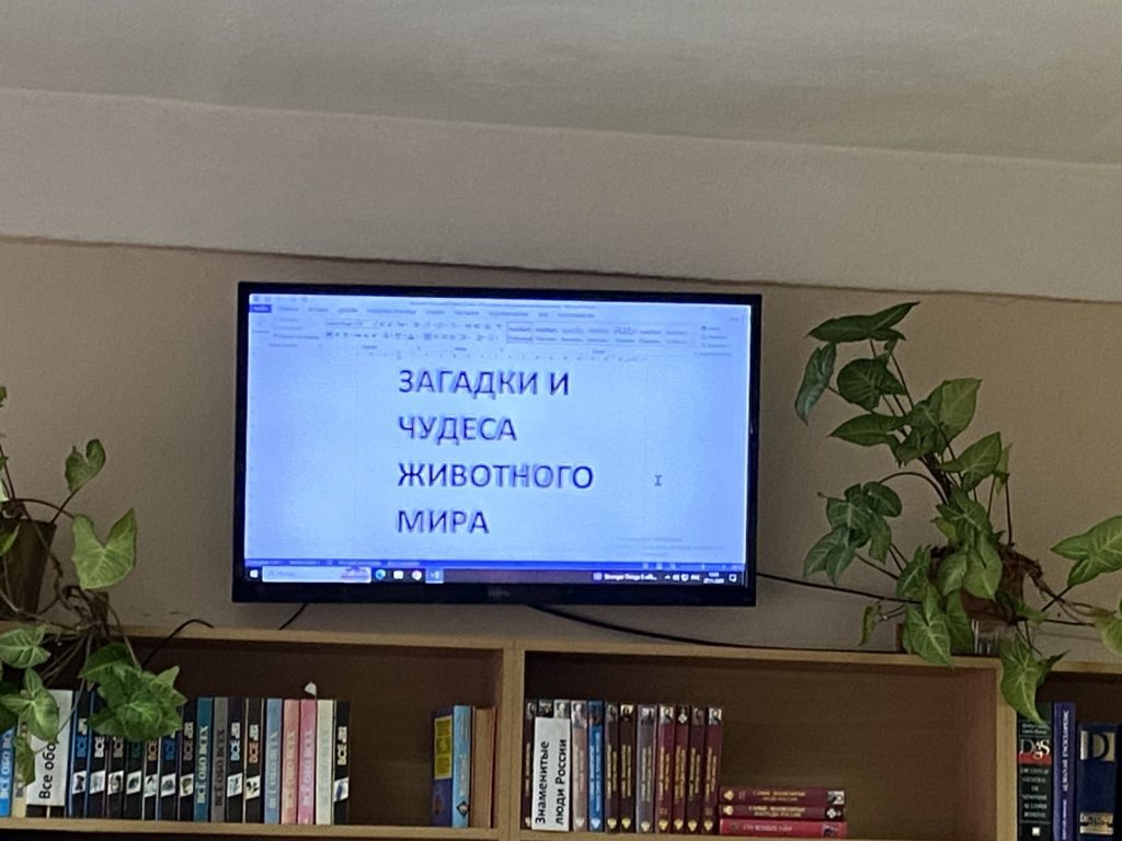 изображение viber 2025 12 01 12 15 14 718
